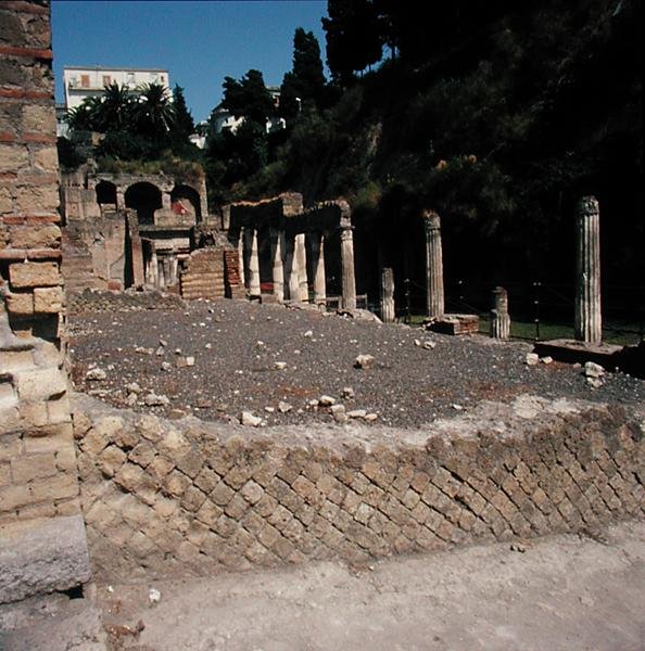 A Palestra alkotó: Roman Roman