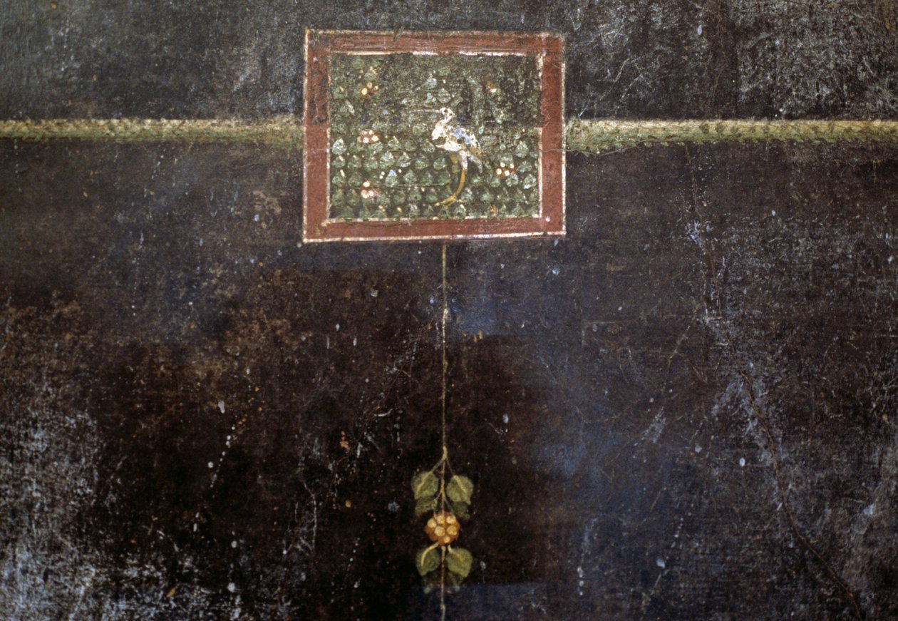 Freskók a Villa Dei Misteriből alkotó: Roman