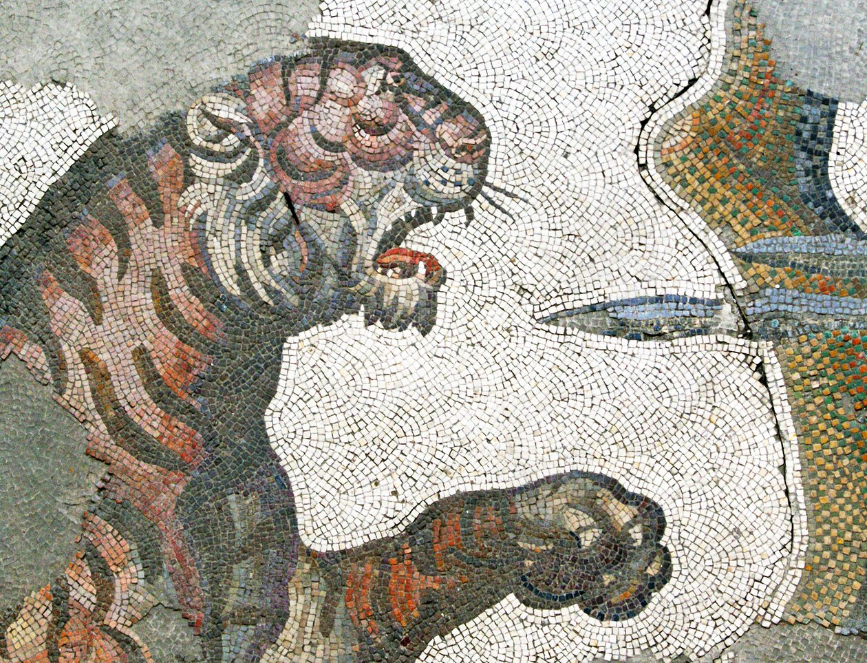 Ismeretlen kép alkotó: Roman