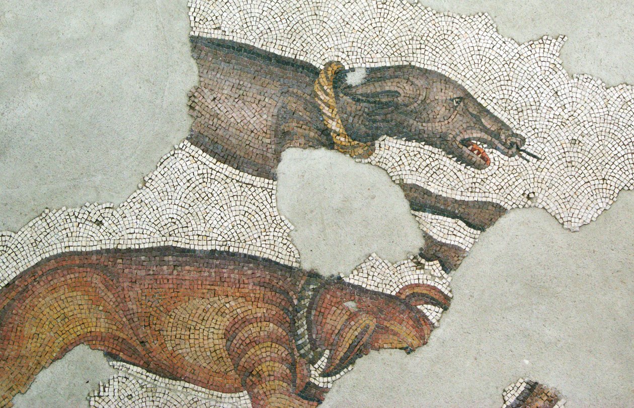 Ismeretlen kép alkotó: Roman