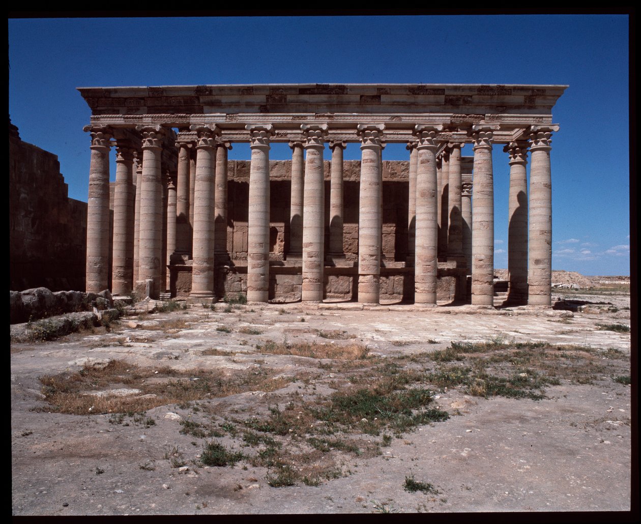Kilátás a római templomra alkotó: Roman