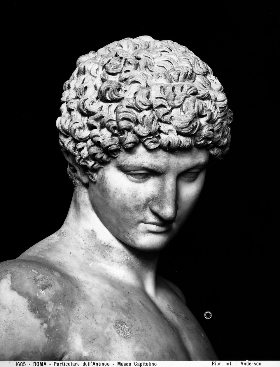 Antinous részlete (márvány) alkotó: Roman Roman