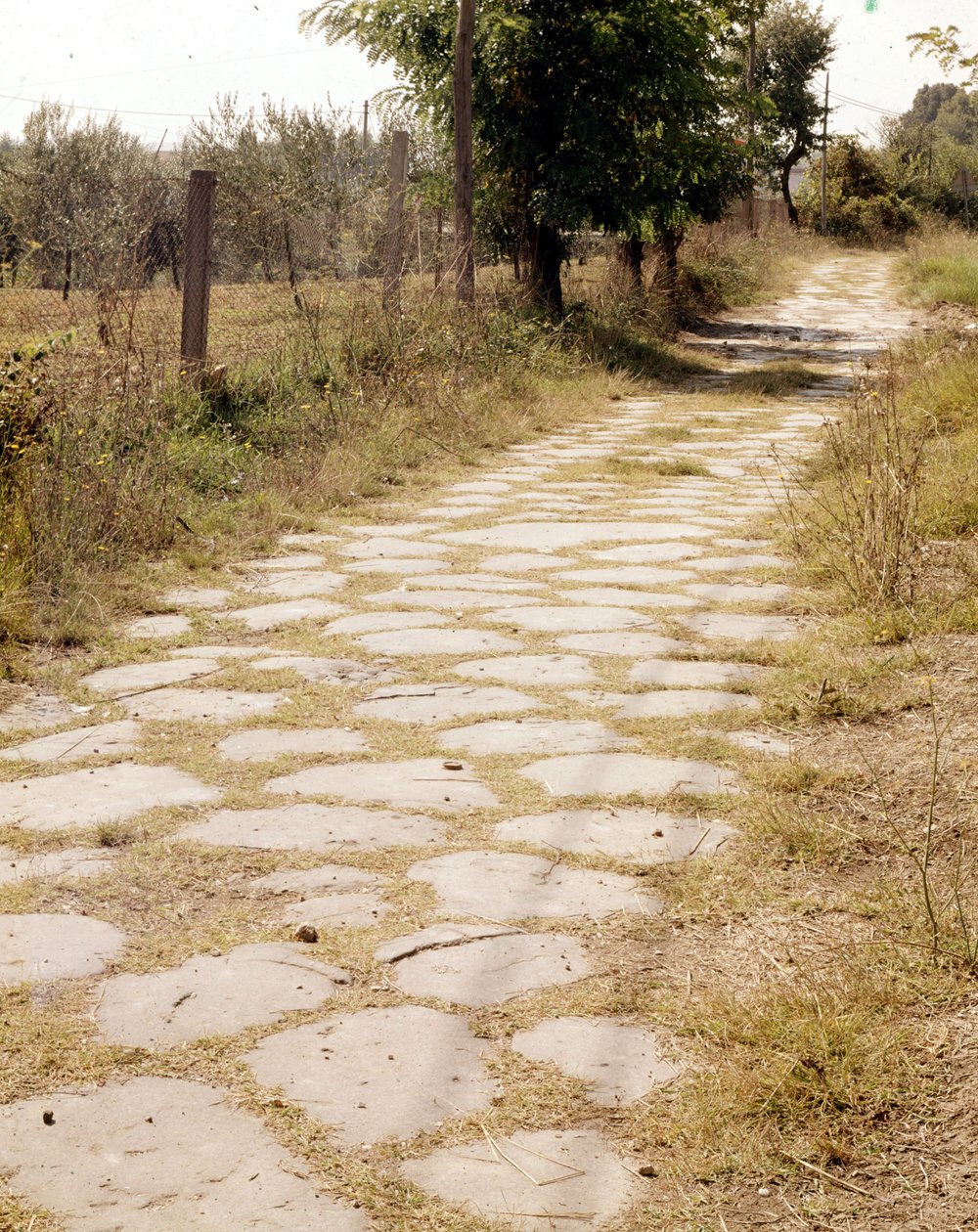 Via Flaminia, Róma. alkotó: Roman Roman