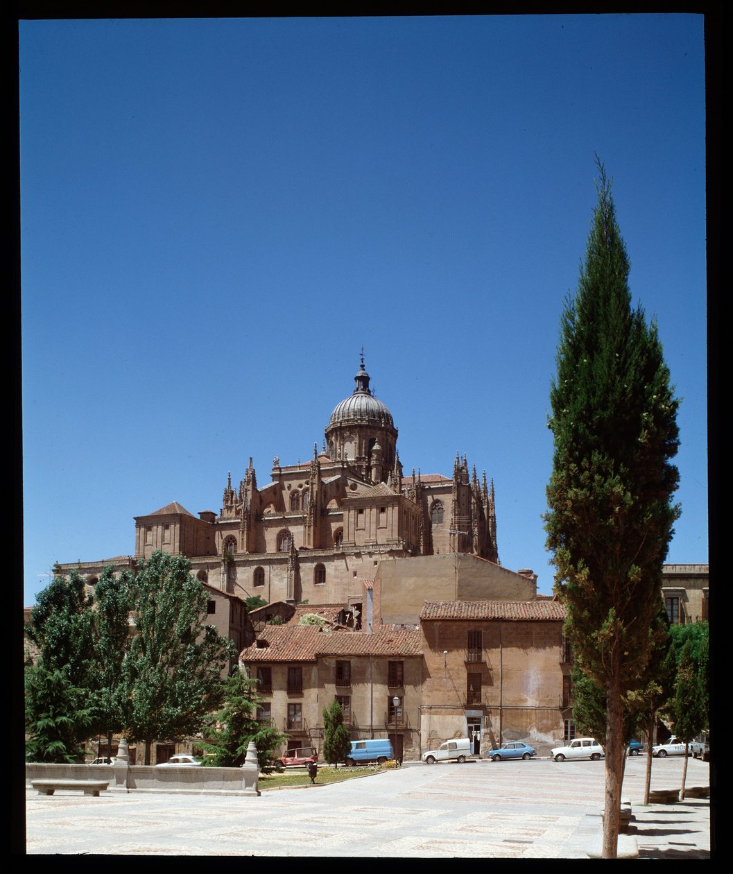 Kilátás a katedrálisra alkotó: Romanesque