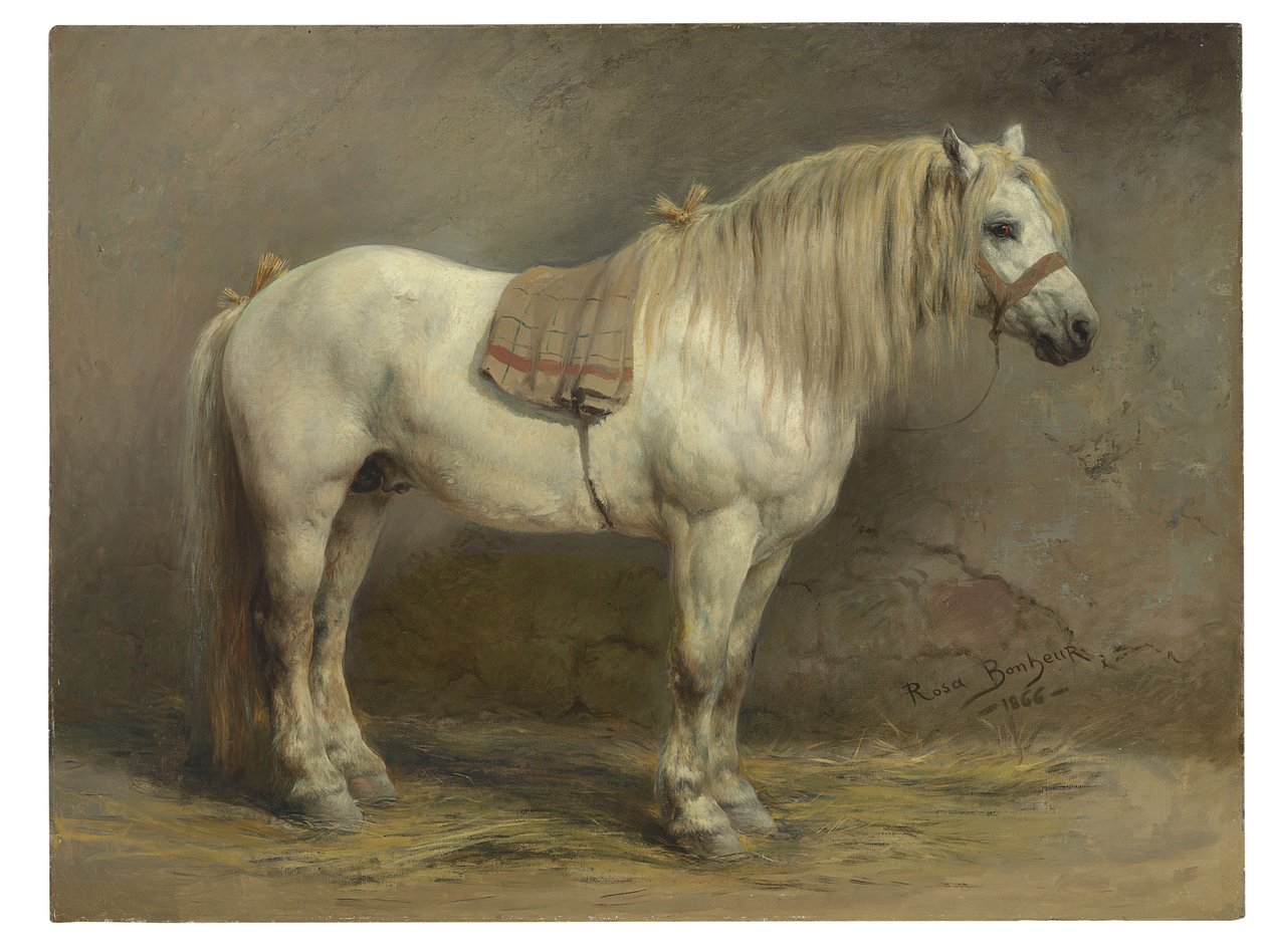 Egy fehér ló alkotó: Rosa Bonheur