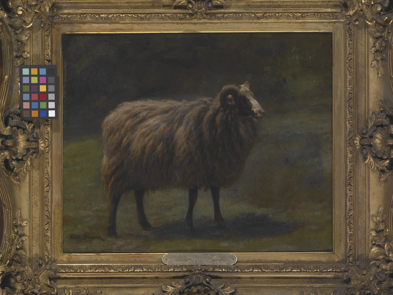 Ram (olaj, vászon) alkotó: Rosa Bonheur
