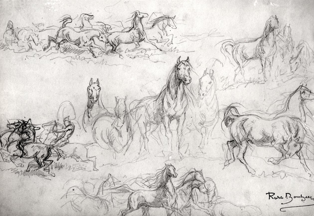 Lovak tanulmányozása alkotó: Rosa Bonheur
