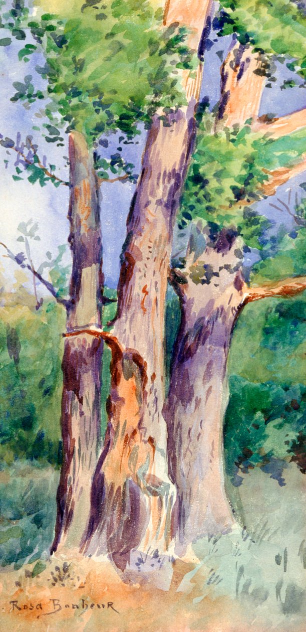 Study of Trees, c1842-1899 alkotó: Rosa Bonheur