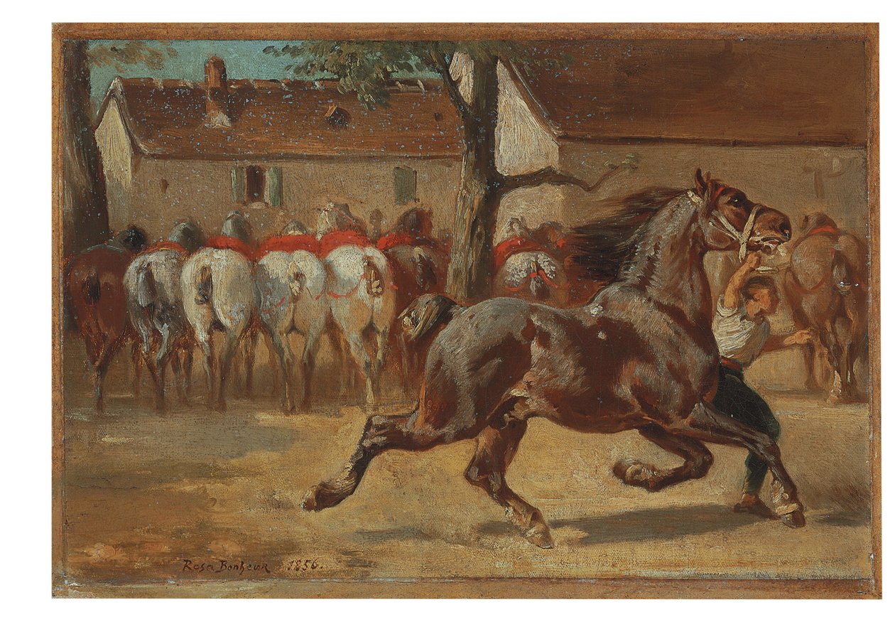 Ló ügetése alkotó: Rosa Bonheur