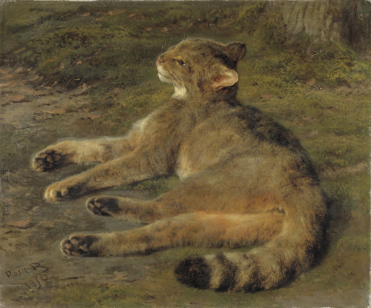 Vadmacska, 1850 alkotó: Rosa Bonheur