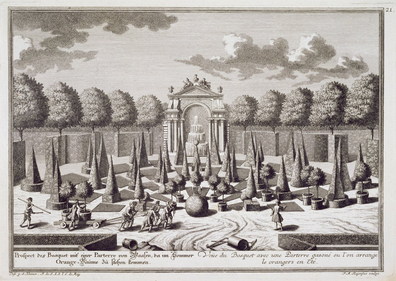 Egy parterre narancsfákkal a bécsi Lichtenstein-palota kertjében, Franz Michael Regenfus (kb. 1712-80) metszete, kiadva 1724-37 körül alkotó: Salomon Kleiner