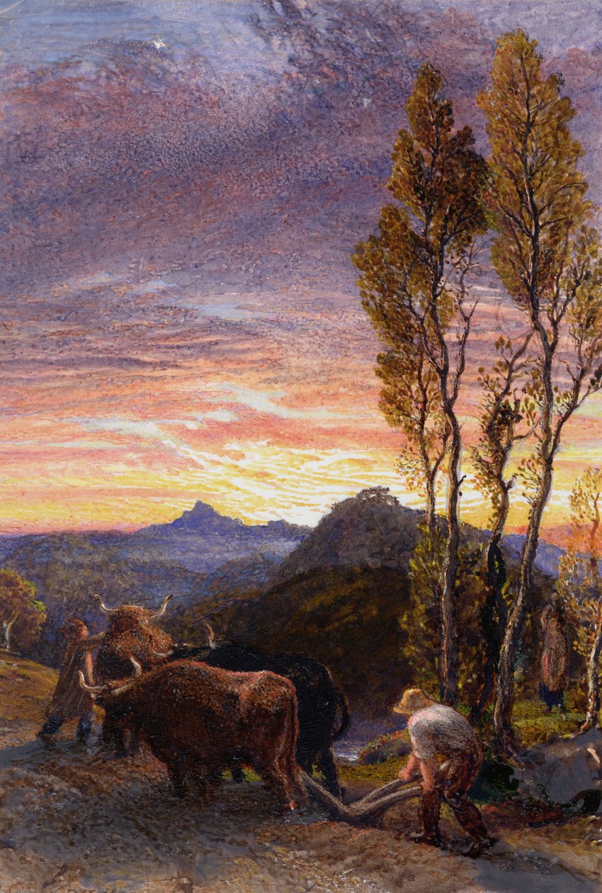 Ökörszántás naplementekor alkotó: Samuel Palmer