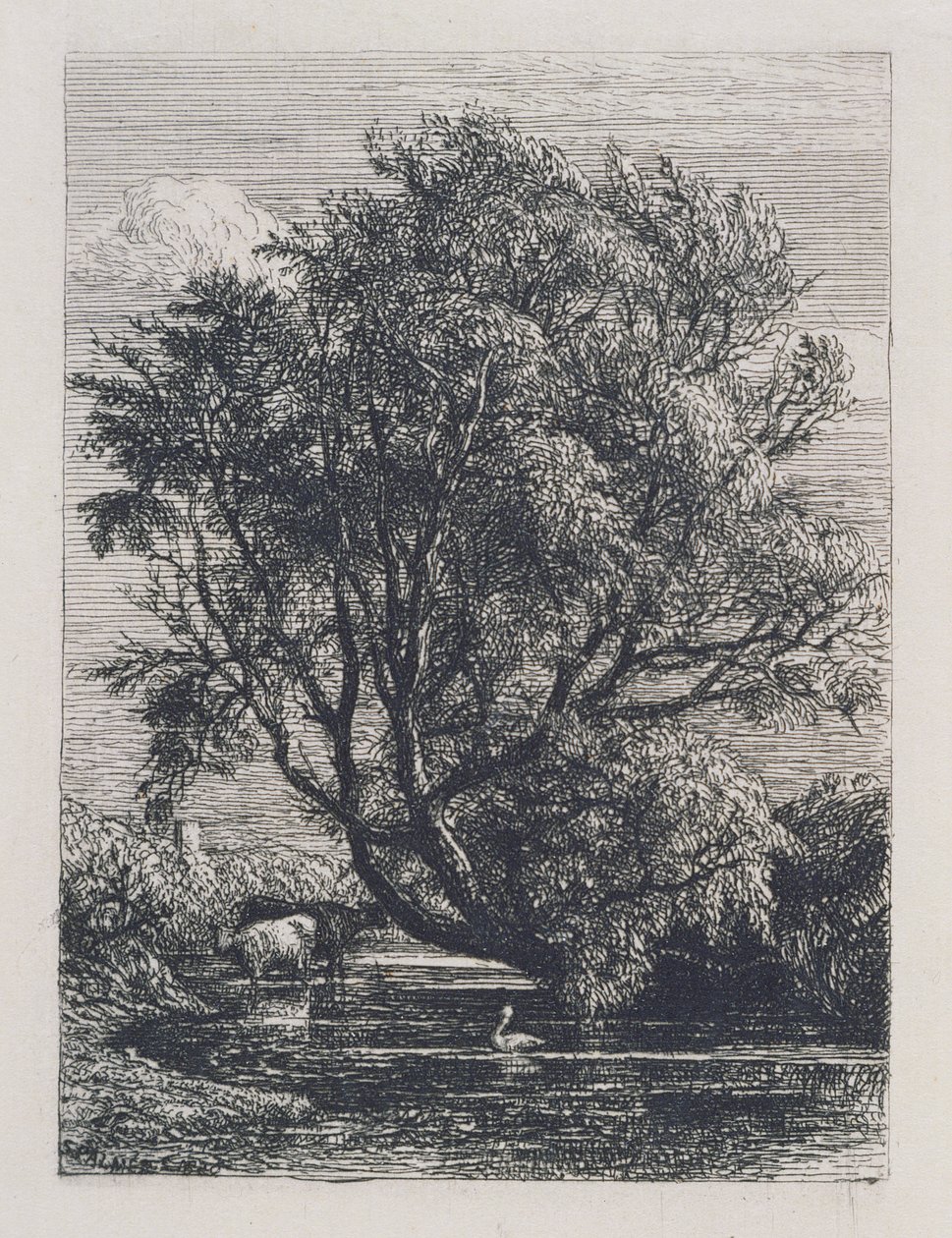 A fűzfa alkotó: Samuel Palmer