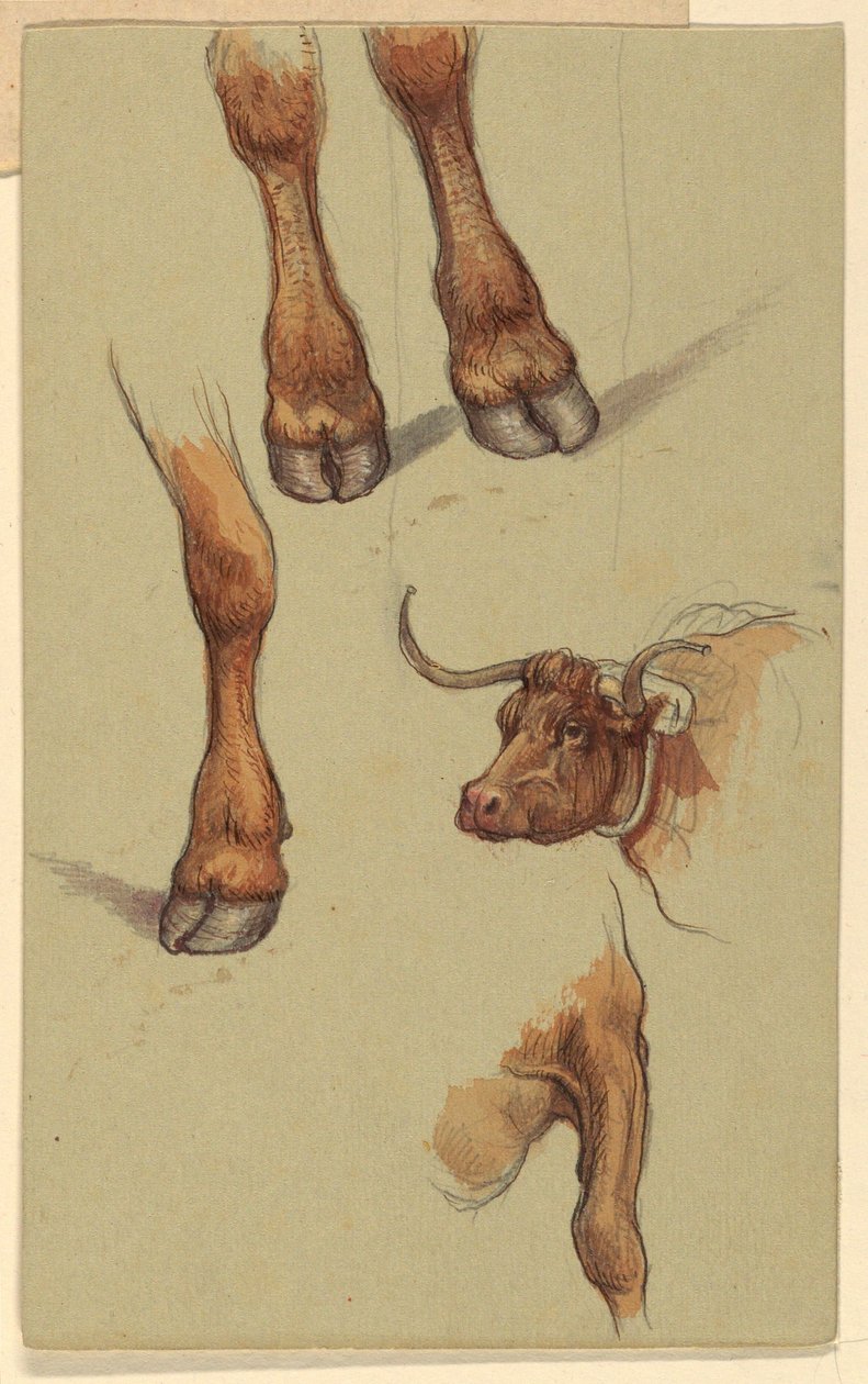 Rajz, Vázlatok Narragensettből, Rhode Island., 1871 alkotó: Samuel Colman