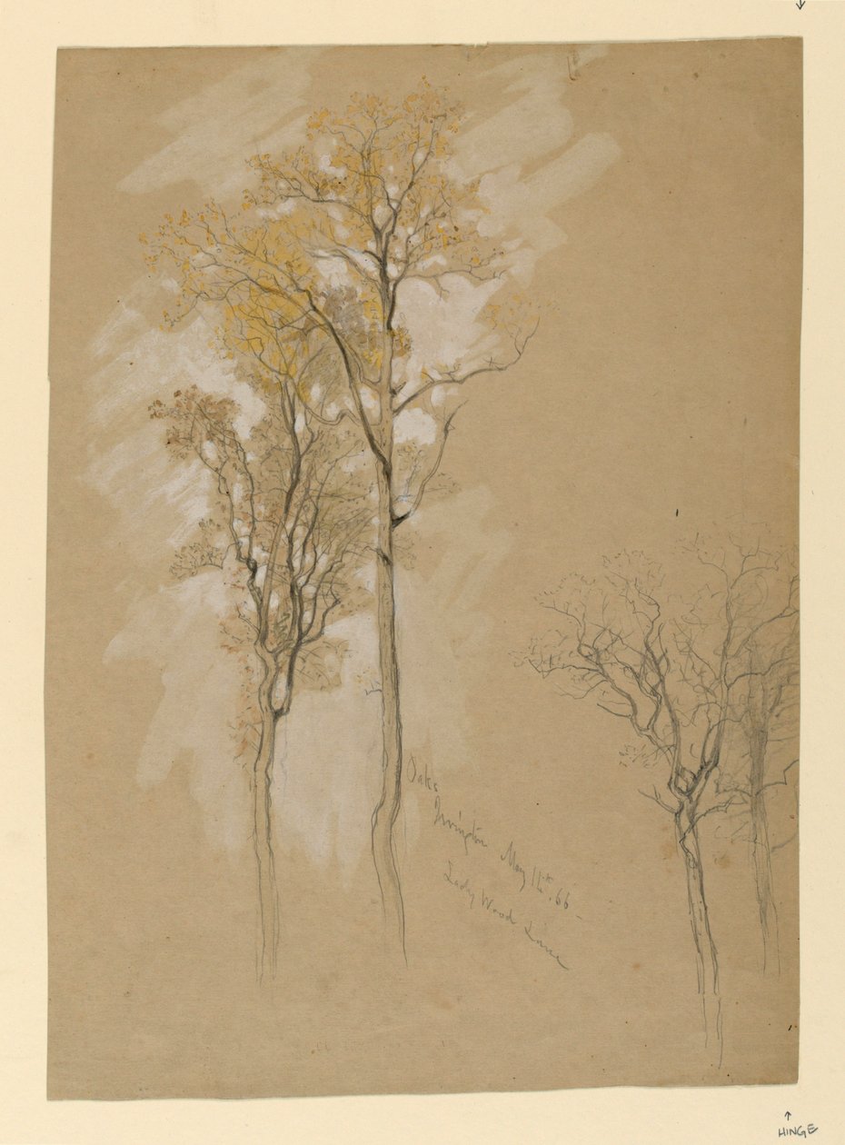Oaks, Lady Wood Lane, Irvington alkotó: Samuel Colman