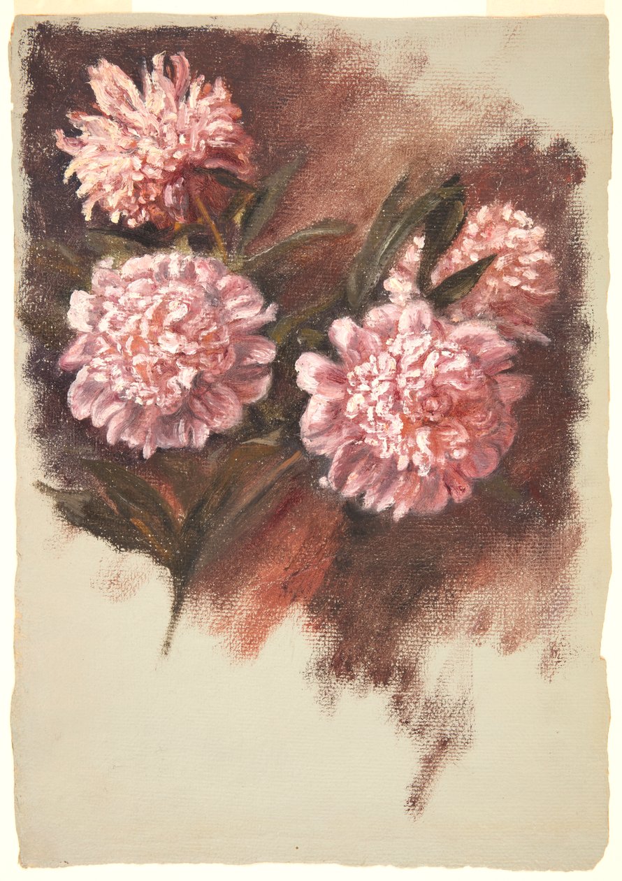 Vörös bazsarózsa alkotó: Samuel Colman