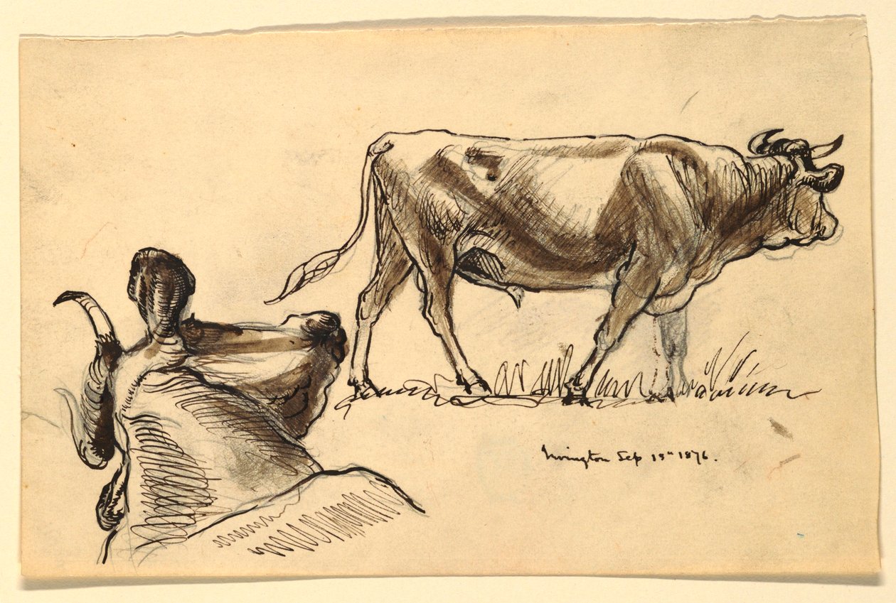 Vázlatok szarvasmarhákról, Irvington alkotó: Samuel Colman