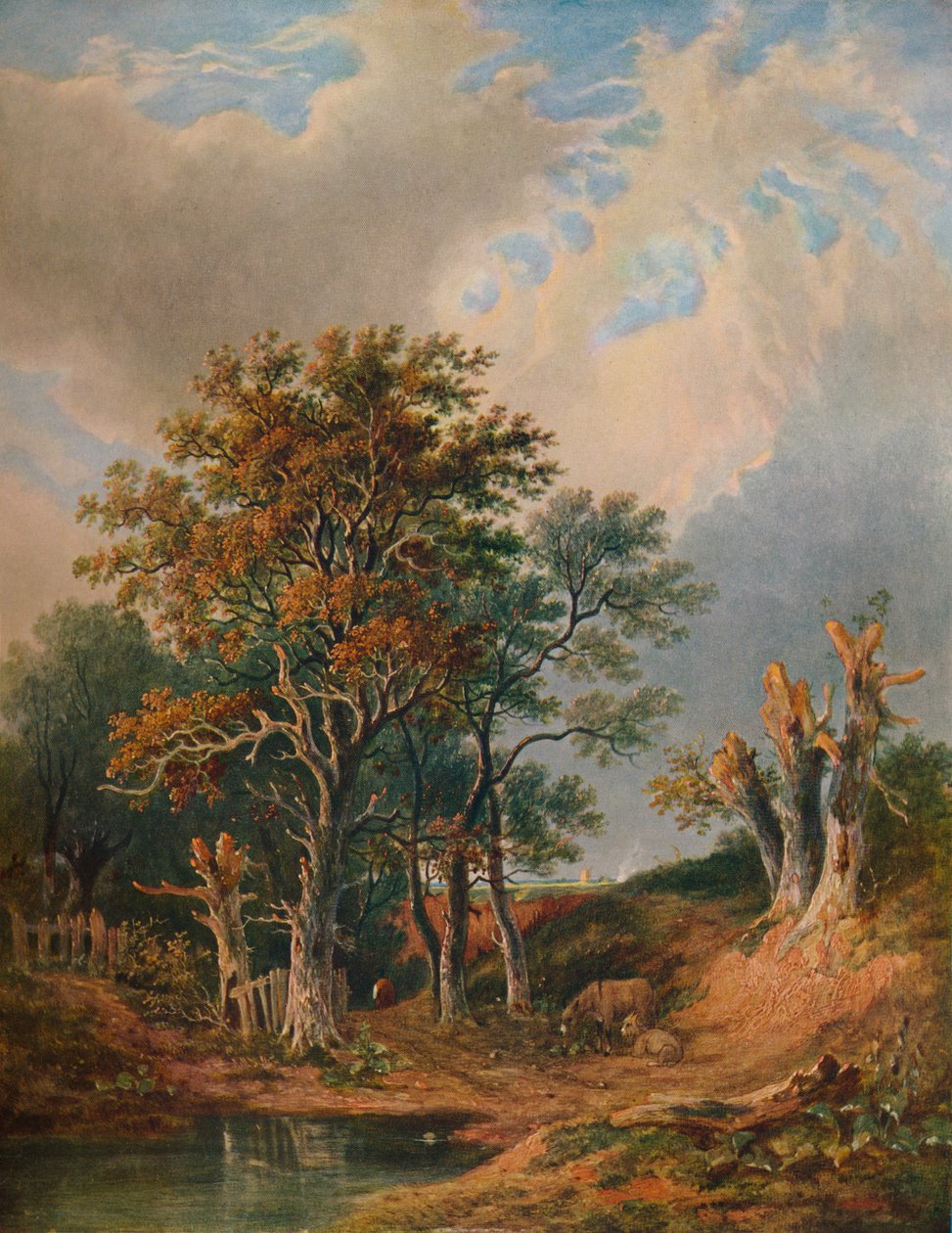 Táj, 1847 alkotó: Samuel David Colkett