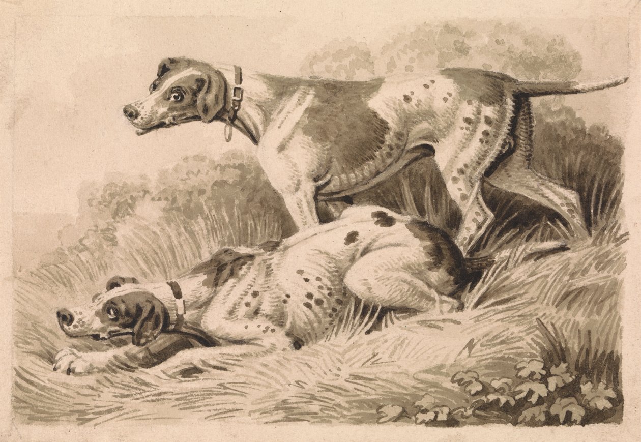 Gun Dogs alkotó: Samuel Howitt