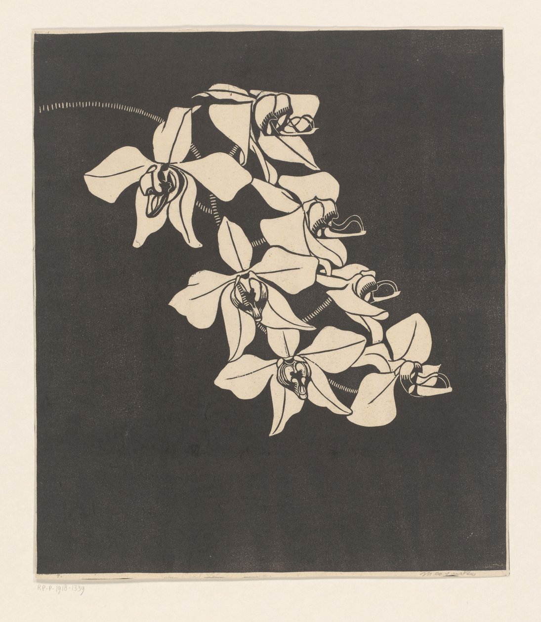 Orchideák alkotó: Samuel Jessurun de Mesquita (signed by artist)