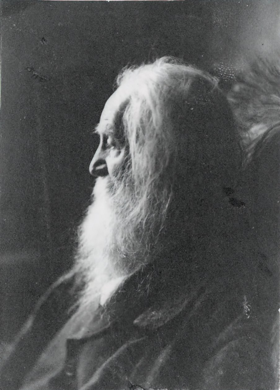 Walt Whitman Camdenben, N.J., kb. 1891. alkotó: Samuel Murray