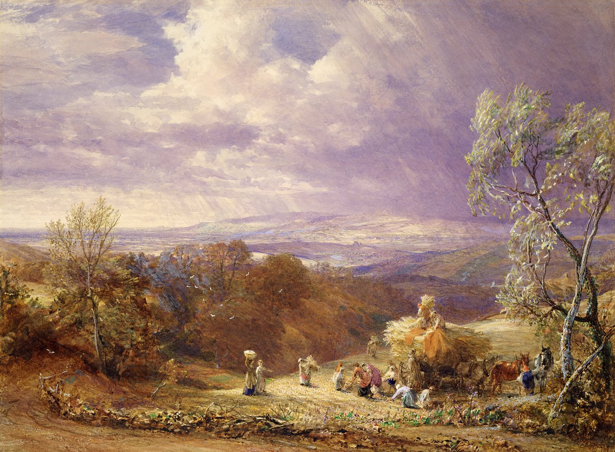 Betakarítás (wc és testszín papíron) alkotó: Samuel Palmer