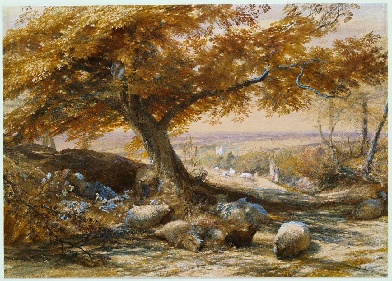 Birkák az árnyékban, 1851 körül alkotó: Samuel Palmer