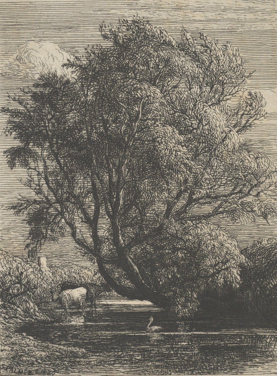 A fűzfa, 1850. alkotó: Samuel Palmer