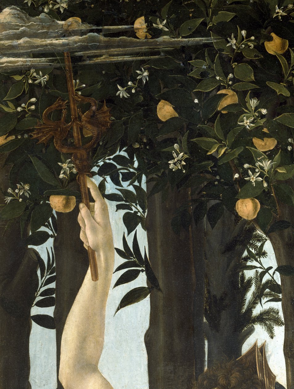 Primavera, 1478 körül, tempera az 558-as panelrészleten alkotó: Sandro Botticelli
