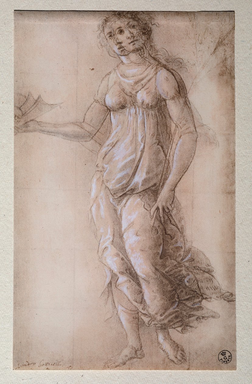 Pallas (rajz, 1491 után) alkotó: Sandro Botticelli