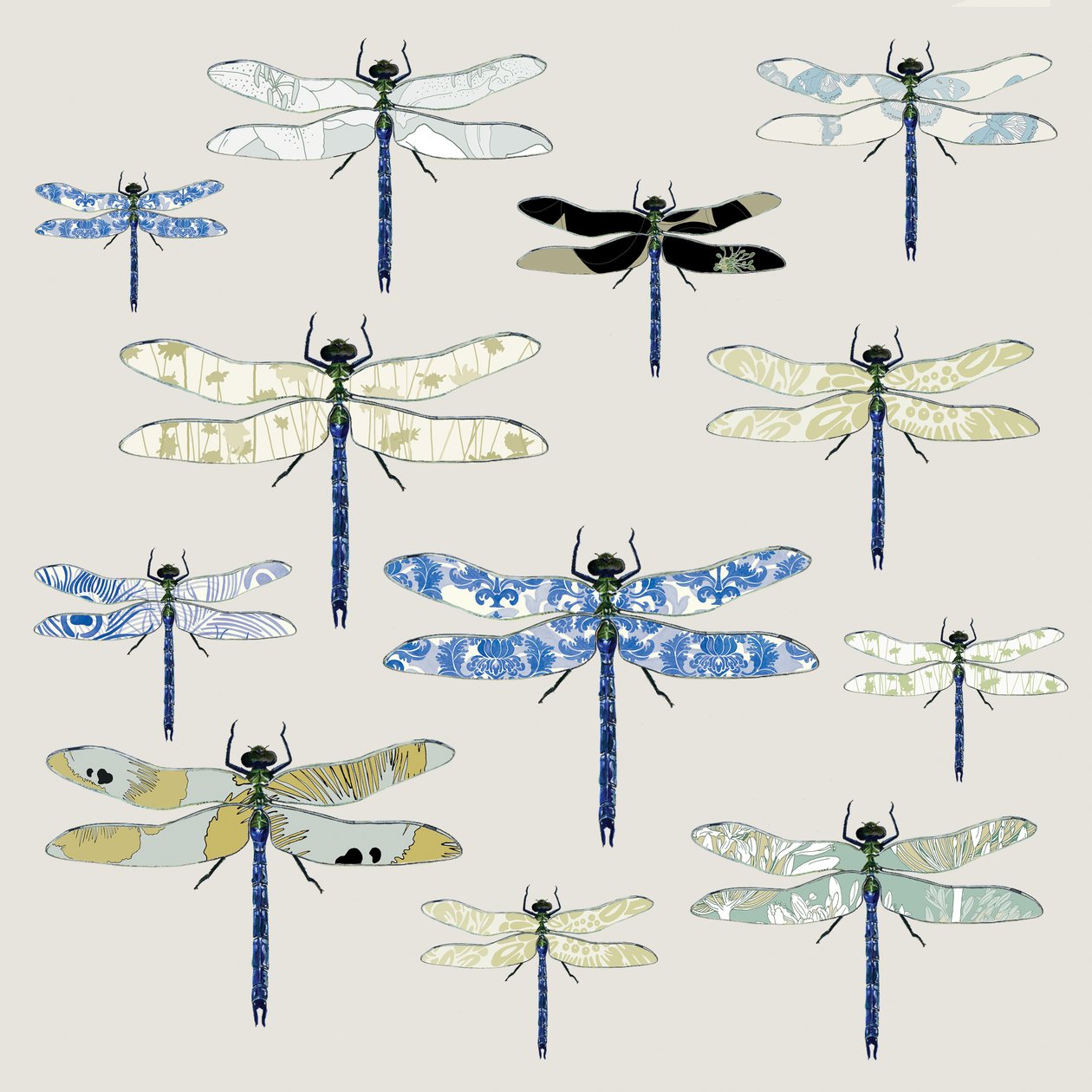 Odonata, 2008 (digitális) alkotó: Sarah Hough