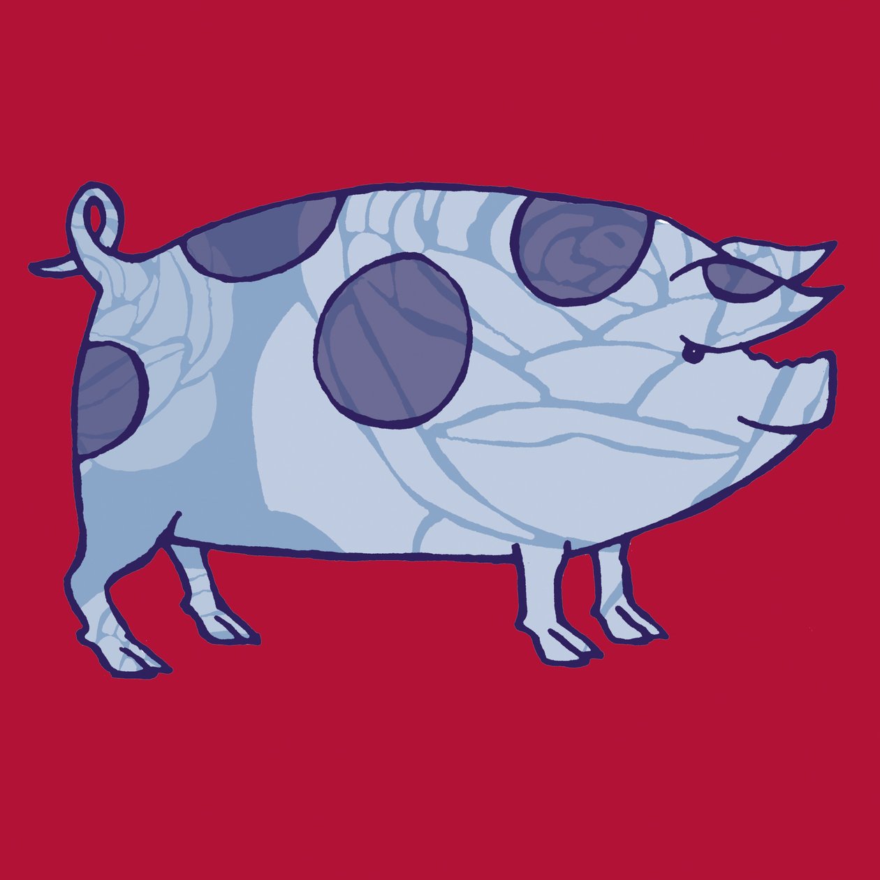 Piddle Valley Pig, 2005 (digitális) alkotó: Sarah Hough