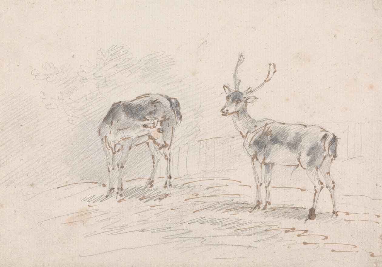 Doe és Buck alkotó: Sawrey Gilpin