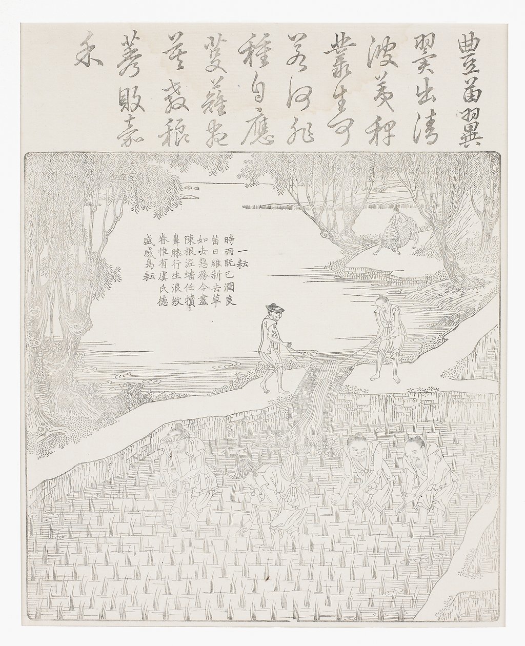 A rizs öntözése alkotó: School Chinese