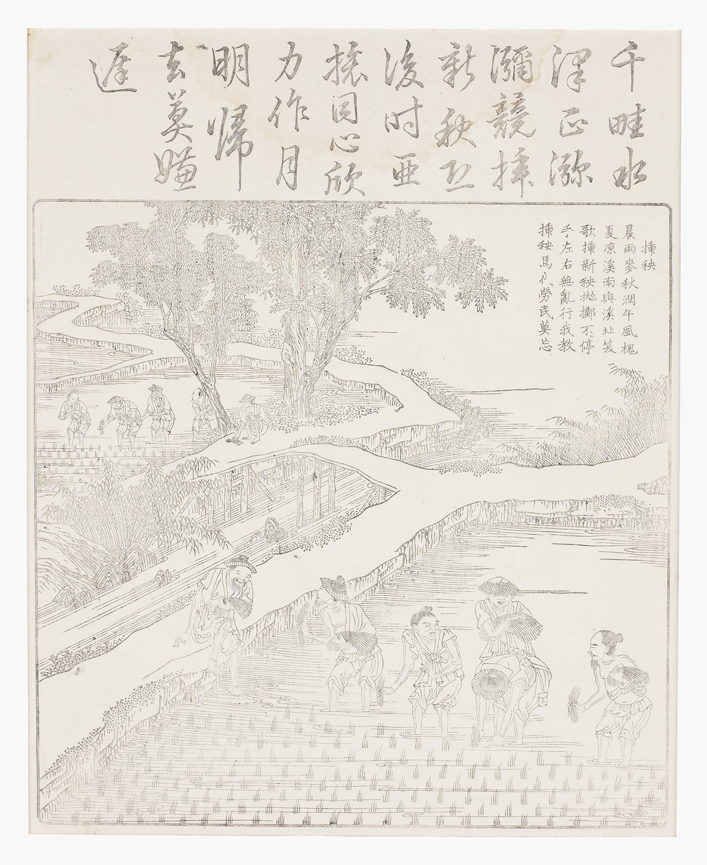 A rizs ültetése alkotó: School Chinese