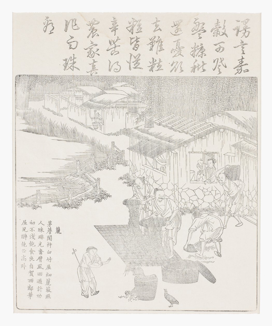 A rizs szitálása alkotó: School Chinese