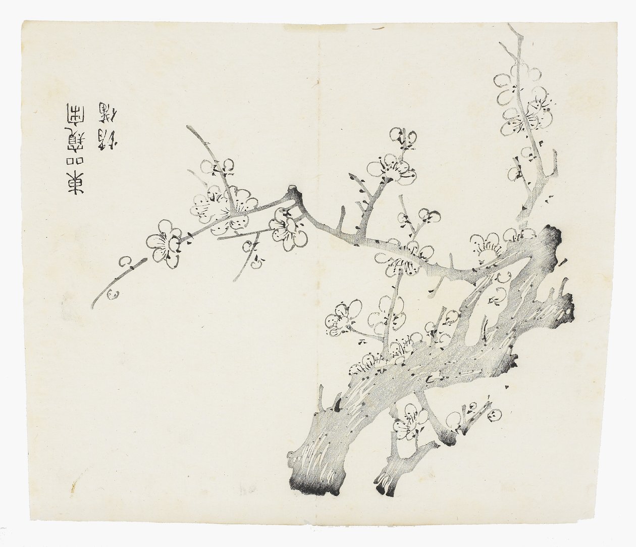Tíz bambusz sorozat alkotó: School Chinese
