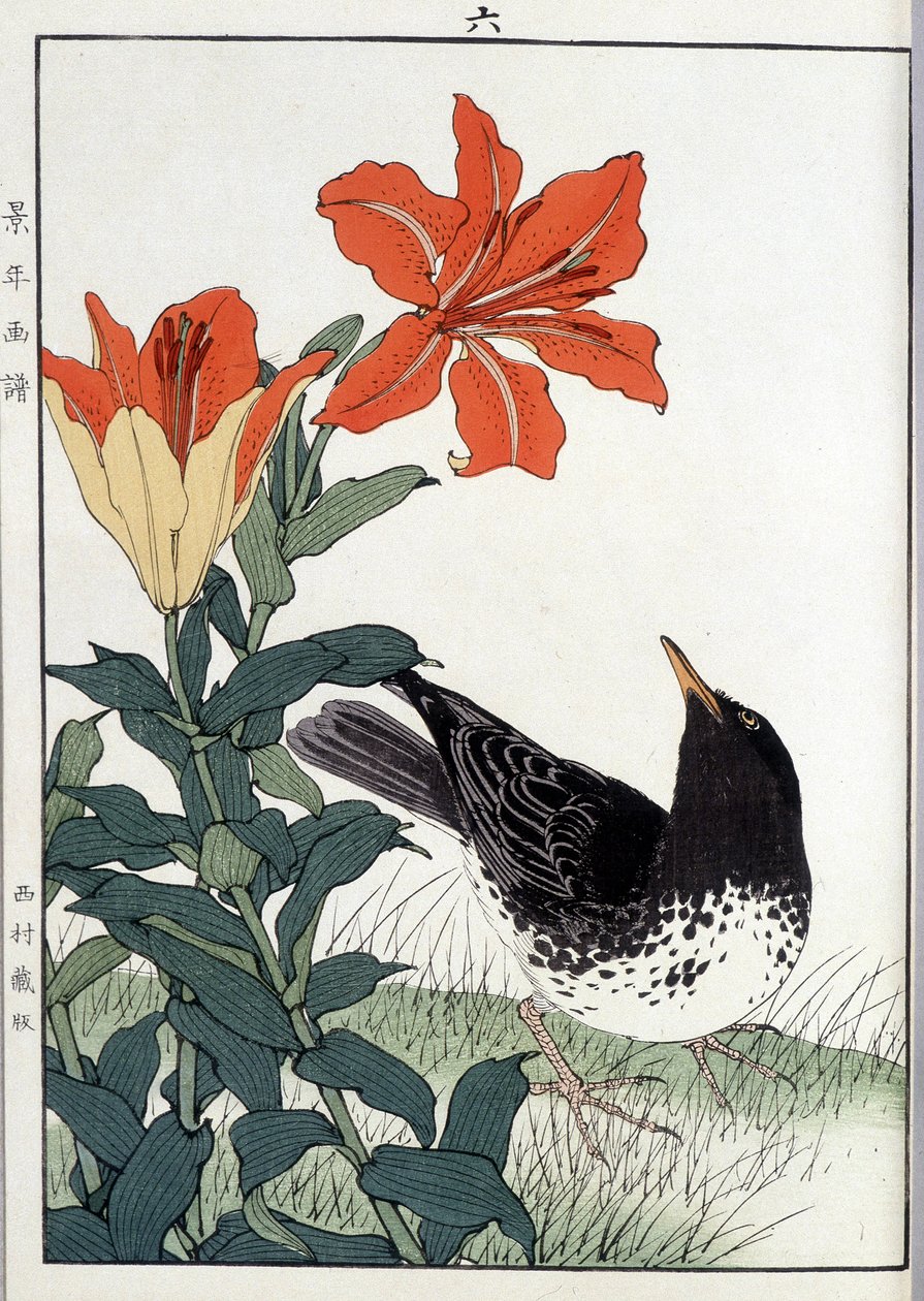 Feketerigó és liliom virágok - japán nyomtatás alkotó: Japanese School