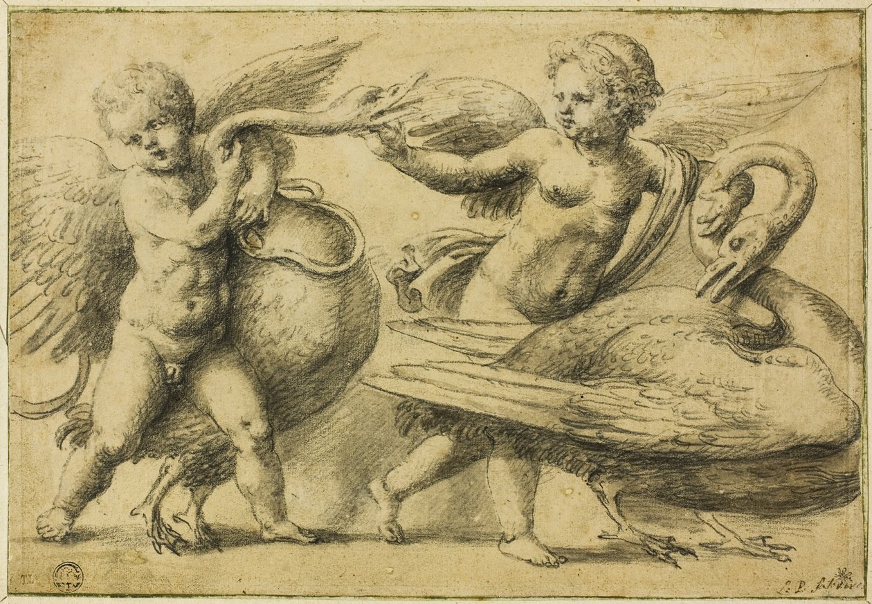 Putti játszik hattyúkkal alkotó: School of Raphael