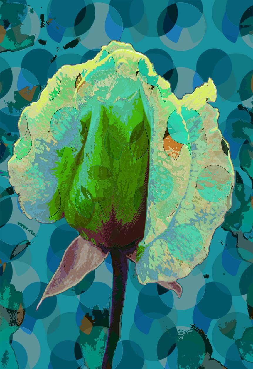 Tea Rose 2 (digitális) alkotó: Scott J. Davis