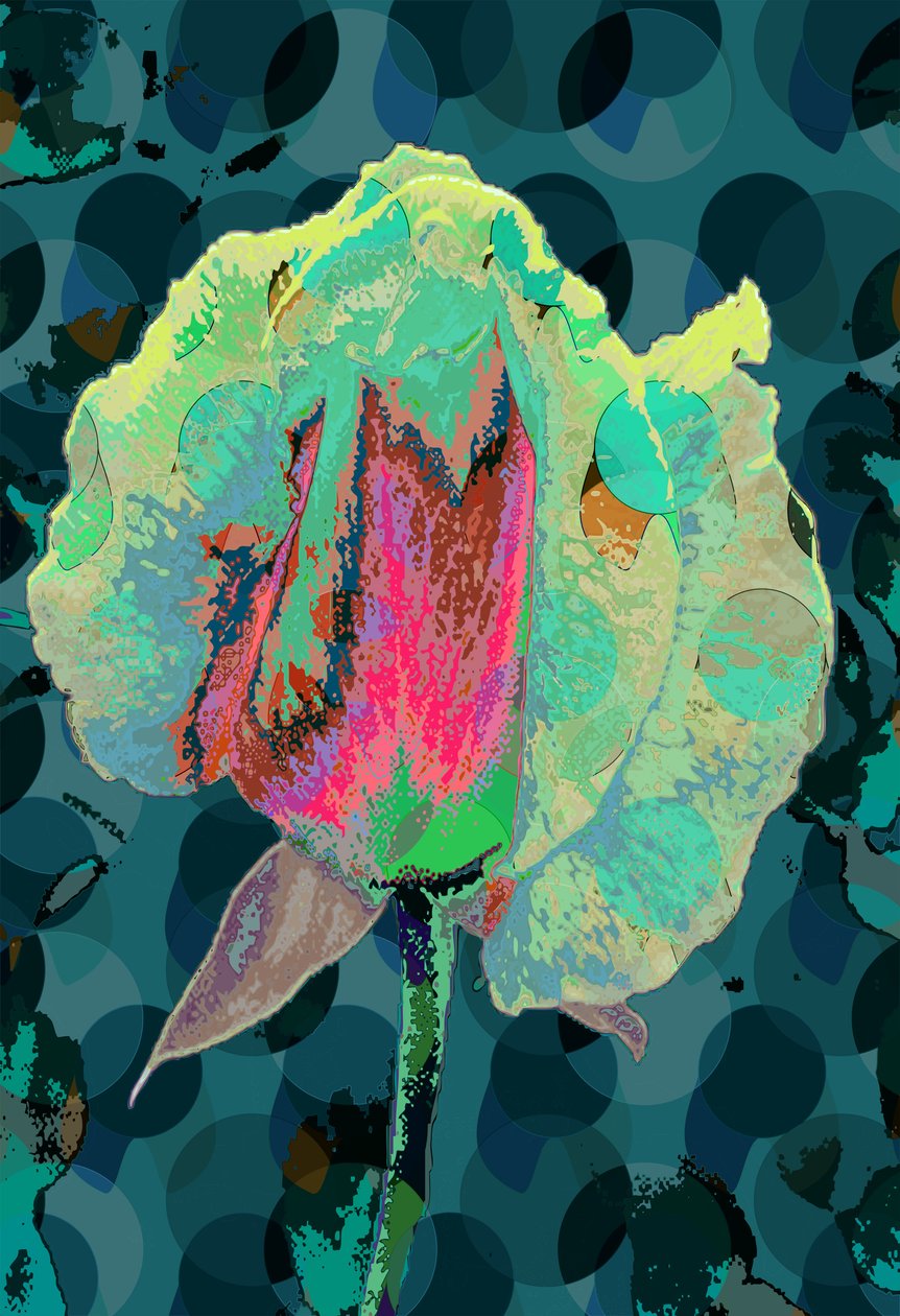 Tea Rose 4 (digitális) alkotó: Scott J. Davis