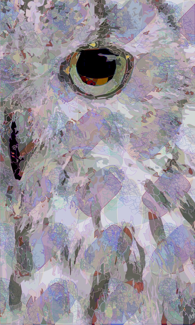 Bagoly3 (digitális) alkotó: Scott J. Davis