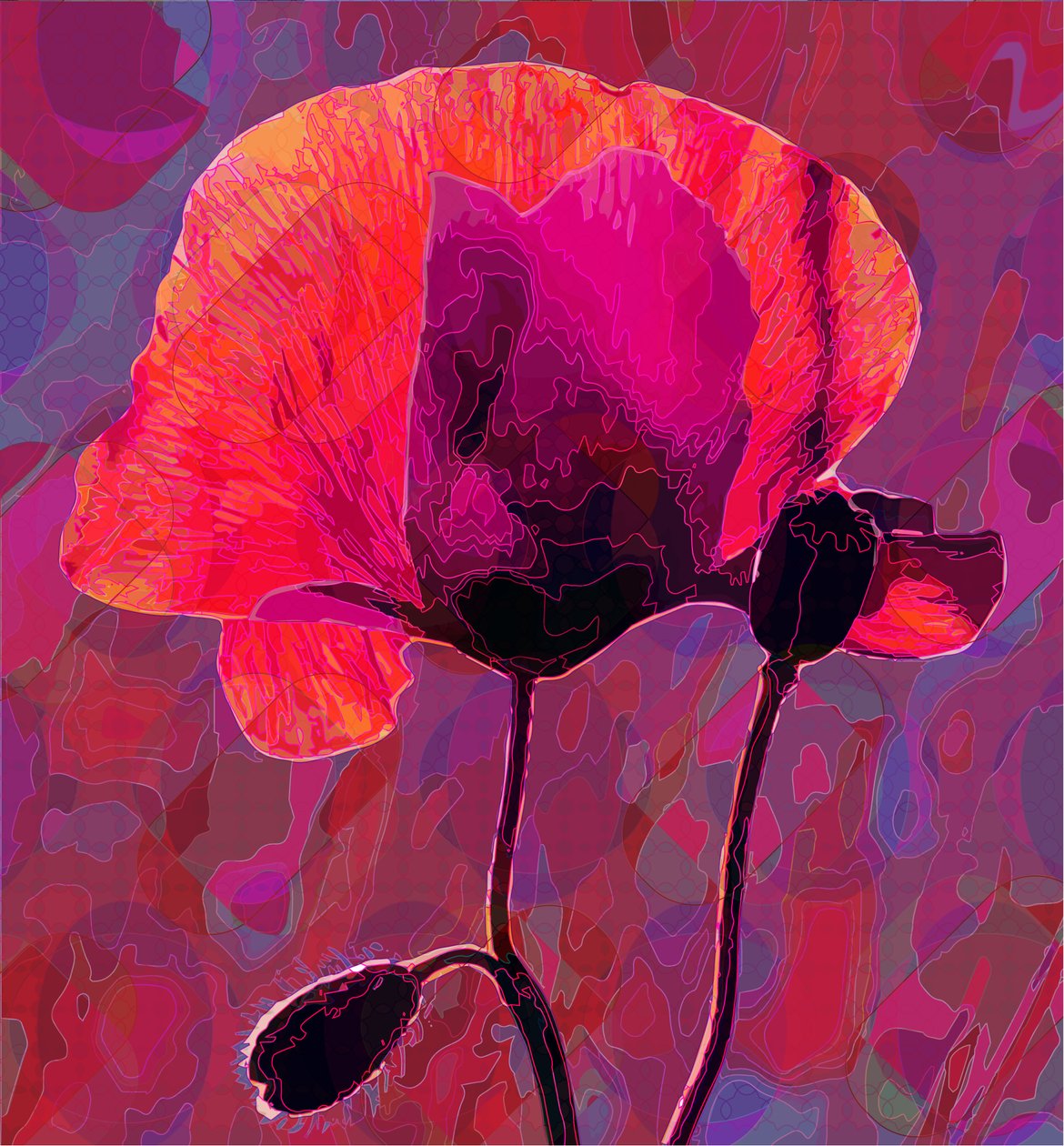 Poppy20, 2020 alkotó: Scott J. Davis