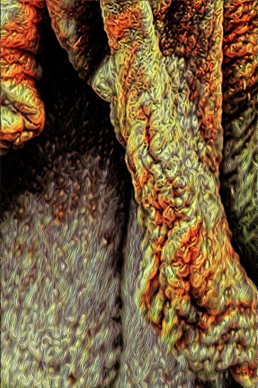 Fatörzs, 2021 (digitális) alkotó: Scott J. Davis