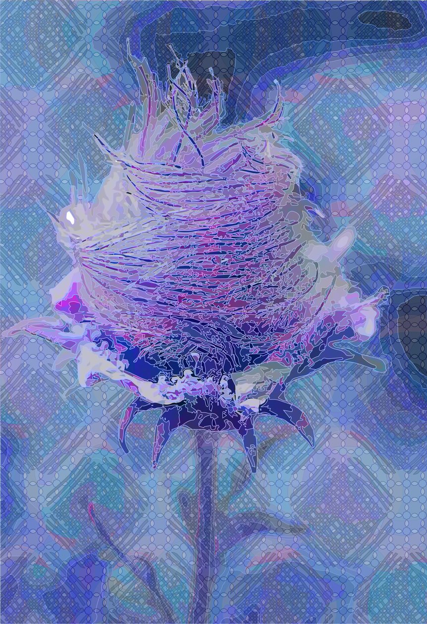 Wood Avens, 2, 2019 alkotó: Scott J. Davis