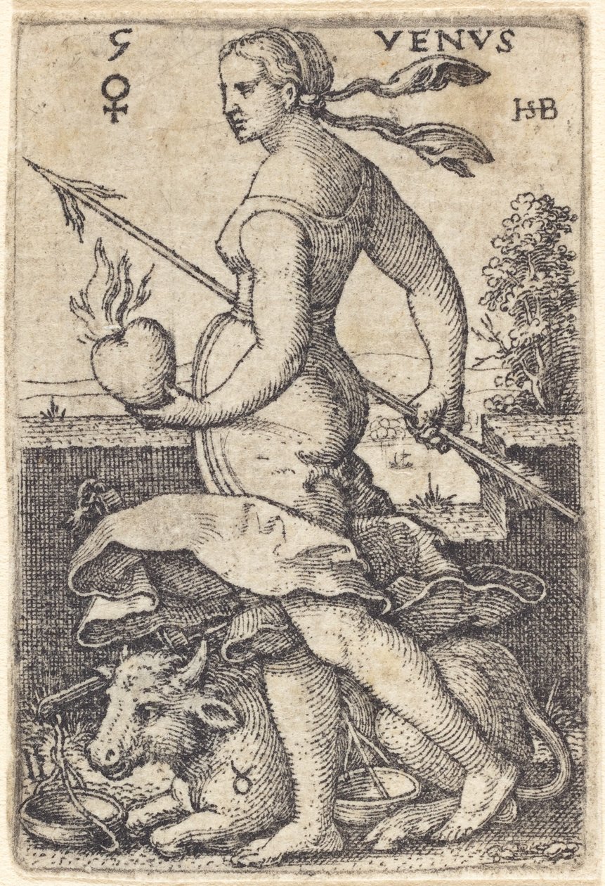 Vénusz alkotó: Sebald Beham