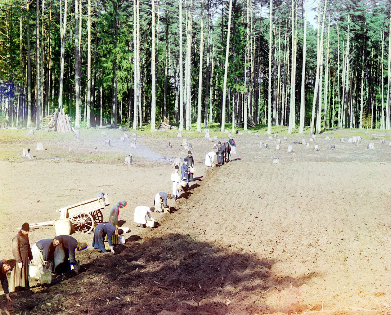 Burgonyt ültető szerzetesek a Gecsemáné kolostor közelében, Volga folyó, Orosz Birodalom, 1910 alkotó: Sergey Prokudin Gorsky