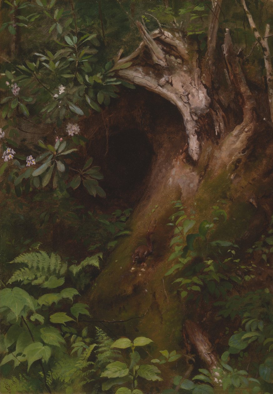 A mókus, 1860-as, 70-es évek. alkotó: Seymour Joseph Guy