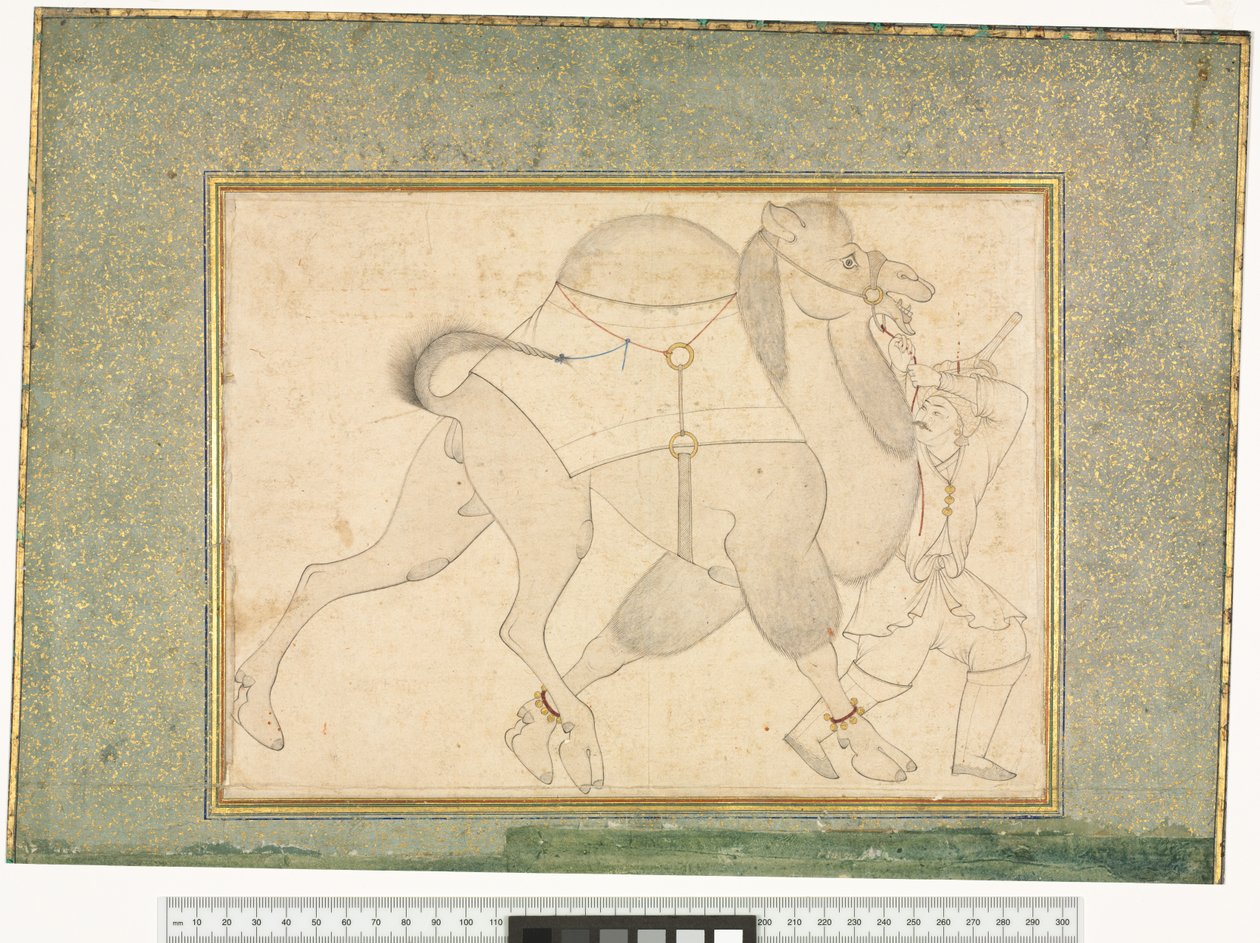 Teve és vőlegény, 1545-76 körül alkotó: Shaykh Muhammad