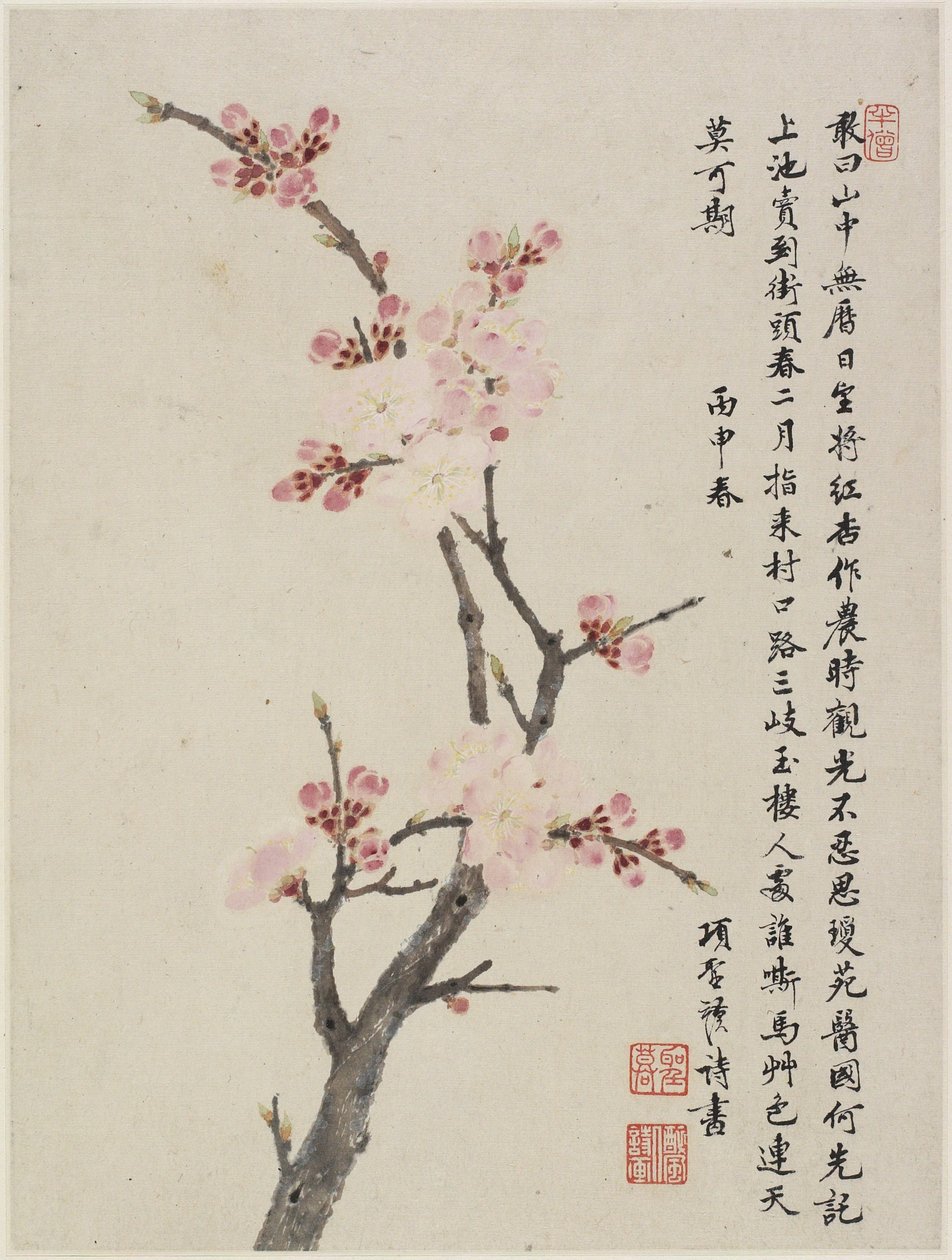 Album of Ten Leaves, 1656 (tinta és színes papíron) alkotó: Shengmo Xiang